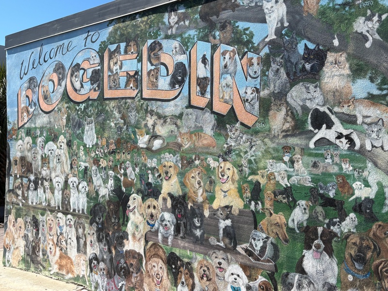 mural in Dunedin by artist unknown.