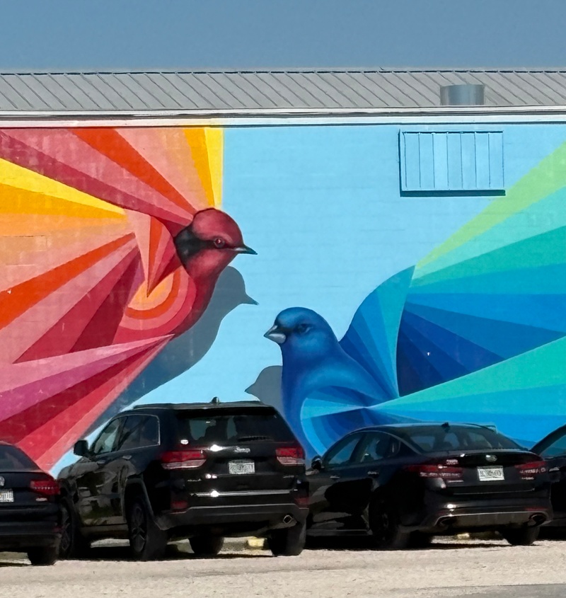 mural in St. Petersburg by artist unknown.