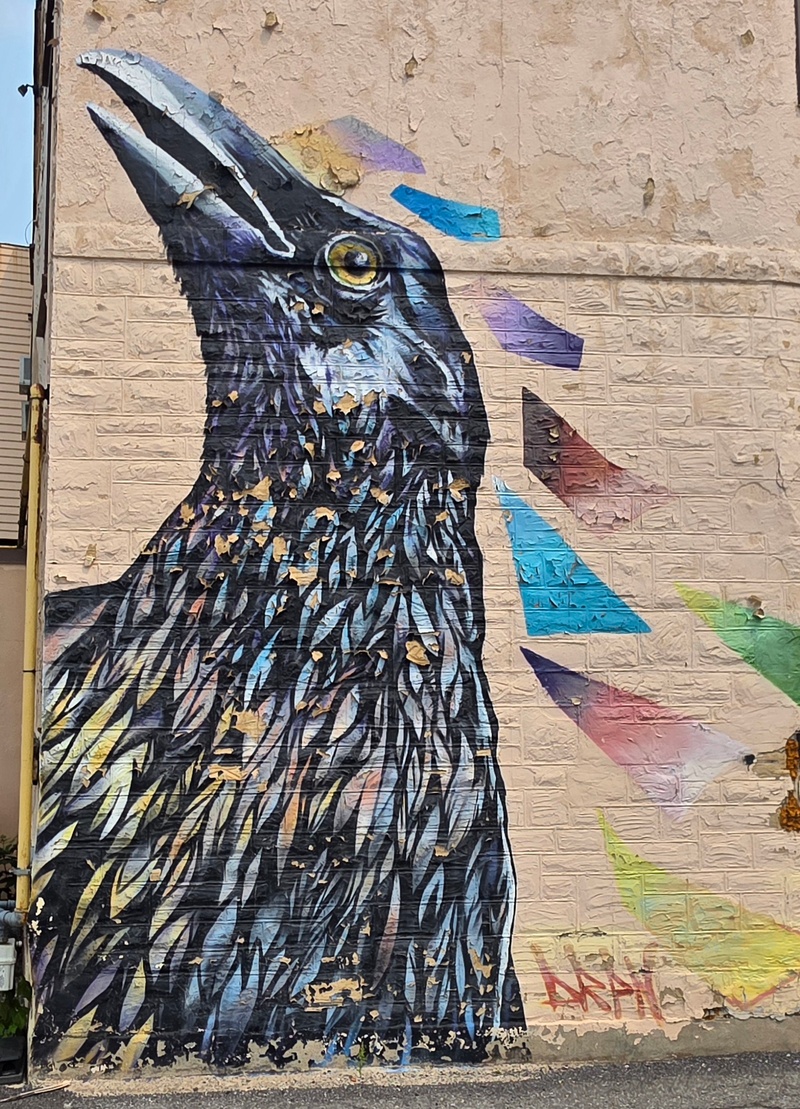 mural in Ottawa by artist unknown.