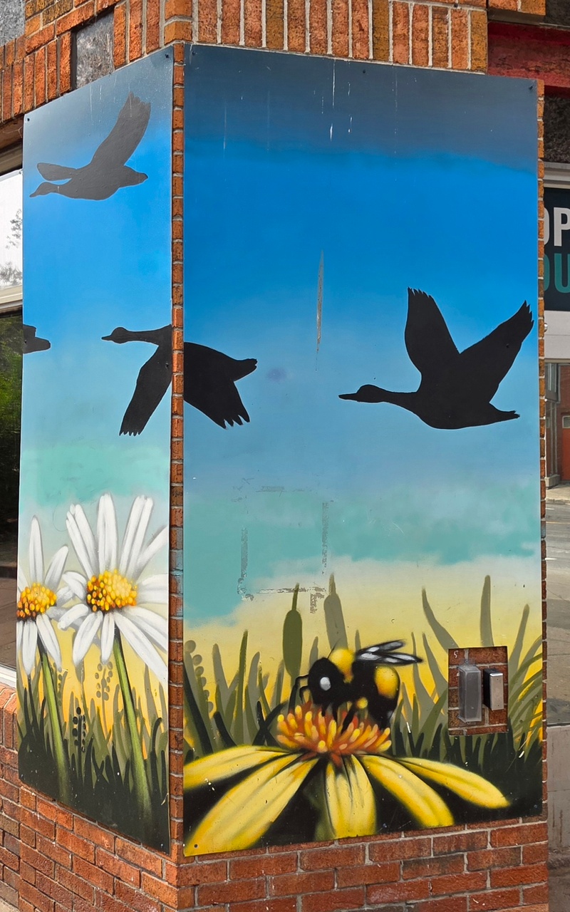 mural in Ottawa by artist unknown.