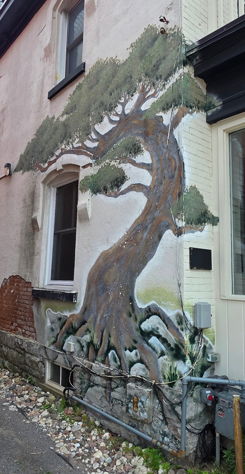 mural in Ottawa by artist unknown.