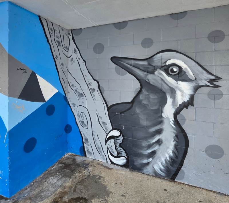 mural in Kingston by artist unknown.