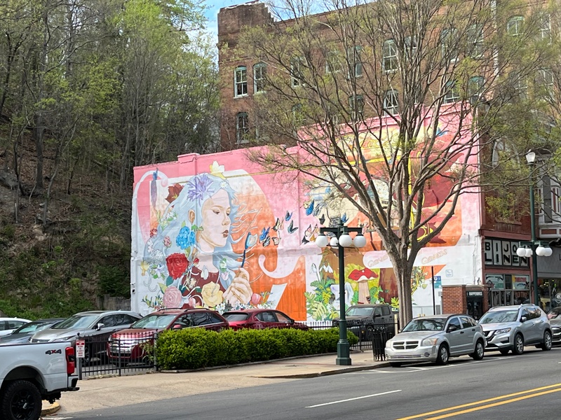 mural in Hot Springs by artist Pepe Gaka.
