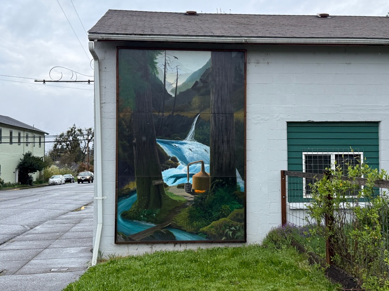 mural in Oakridge by artist unknown.