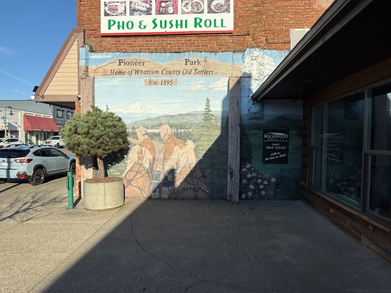 mural in Ferndale by artist unknown.
