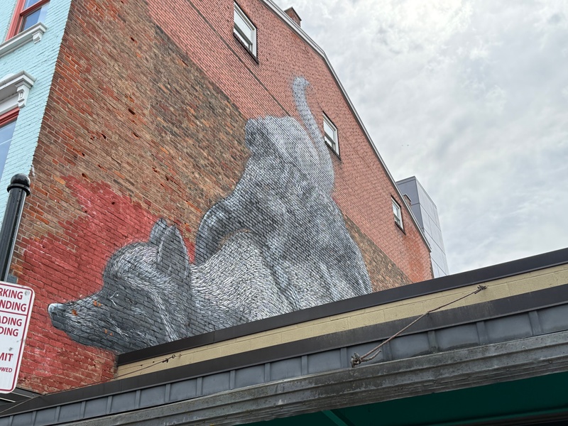 mural in Cincinnati by artist ROA.