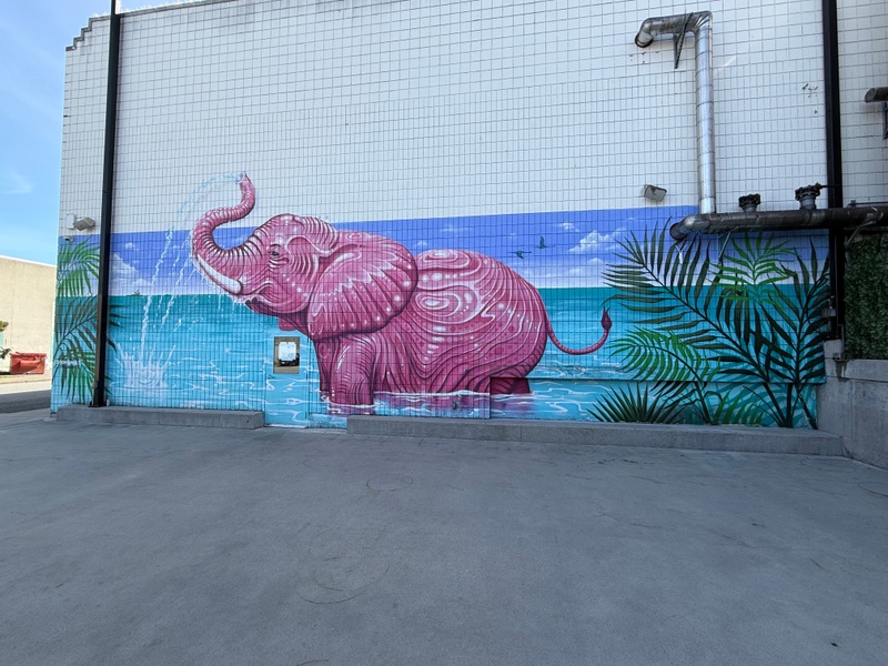 mural in Vancouver by artist Mihai Darvasa.