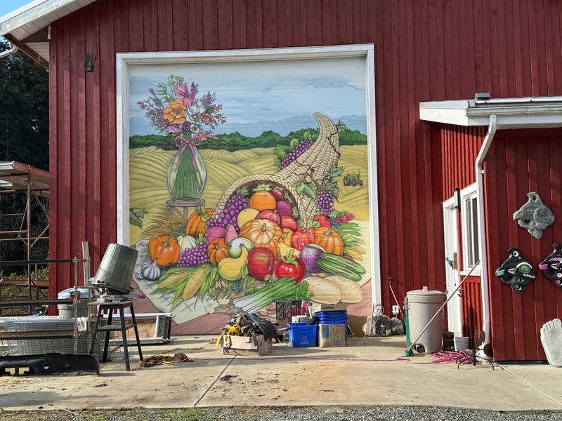 mural in Victoria by artist unknown.