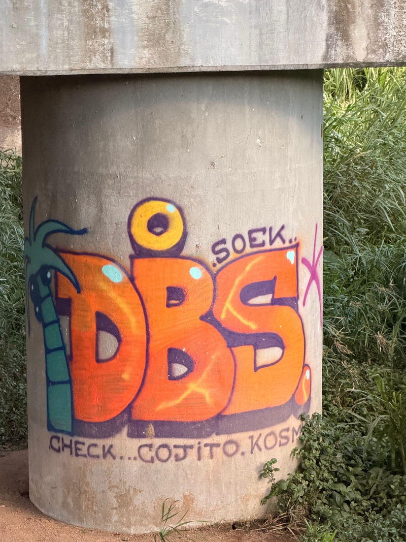 mural in Boquete by artist unknown.