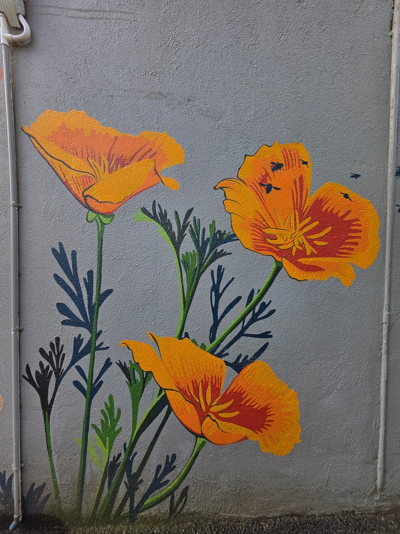 mural in McMinnville by artist unknown.