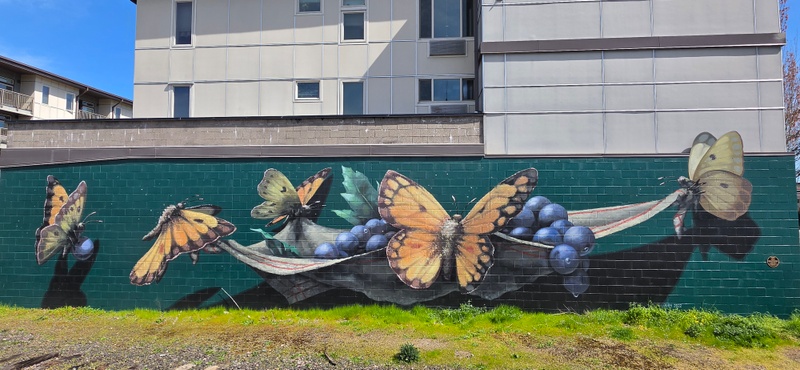 mural in McMinnville by artist Will Schlough.