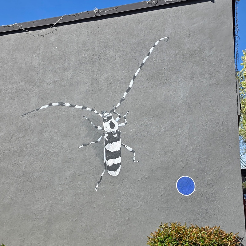 mural in Monmouth by artist unknown.