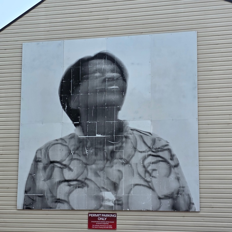mural in Kingston by artist unknown.