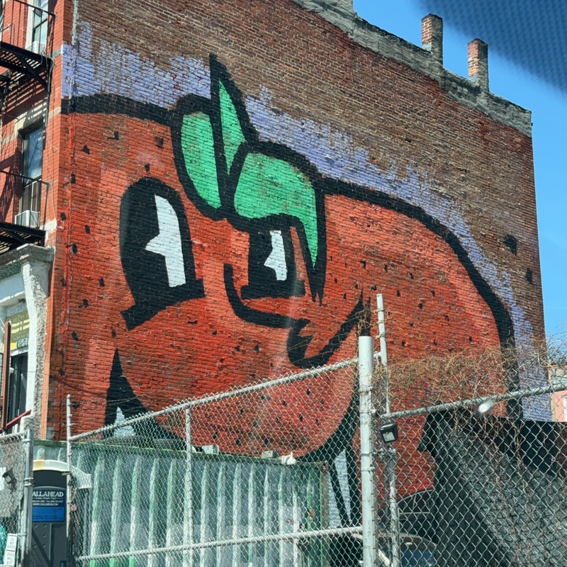 mural in The Bronx by artist unknown.