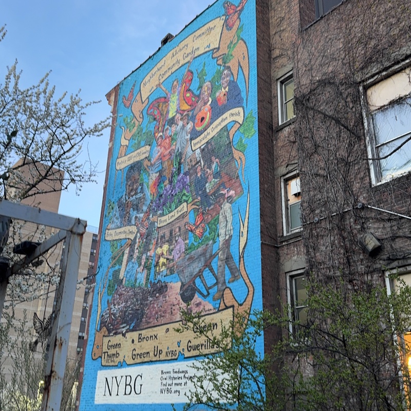 mural in The Bronx by artist unknown.