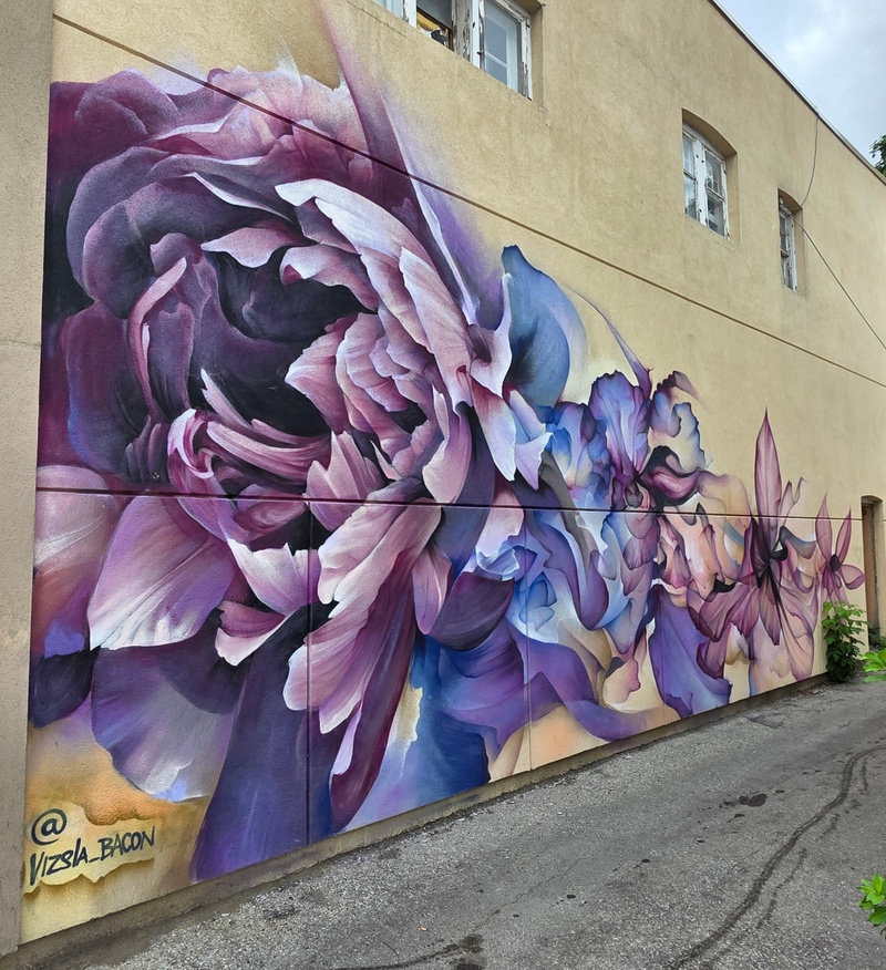 mural in Oshawa by artist Vizsla.