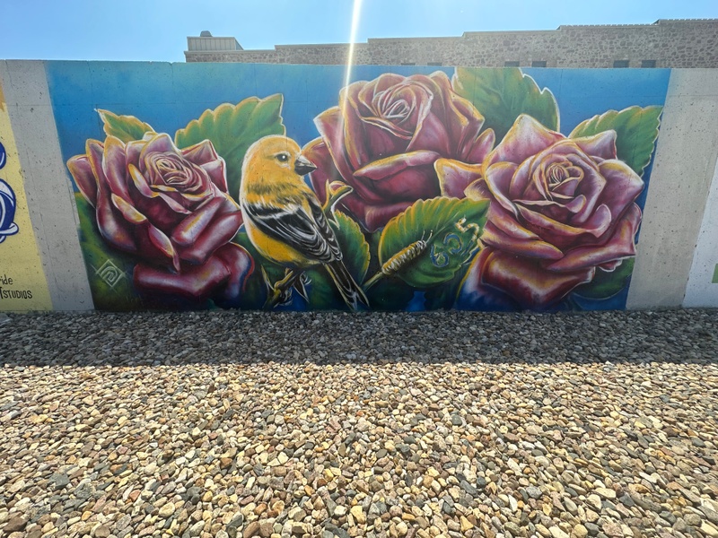 mural in Sioux Falls by artist unknown.