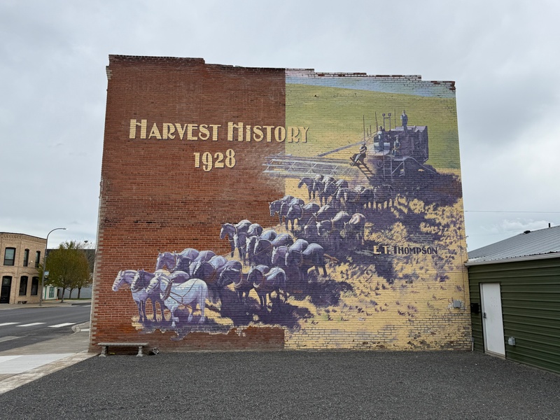 mural in Connell by artist unknown.