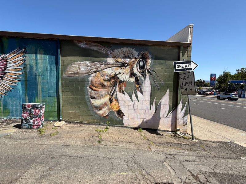 mural in Red Bluff by artist unknown.