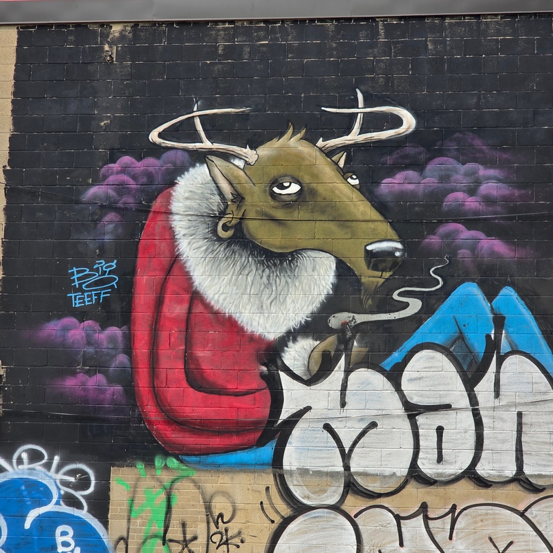mural in Toronto by artist Big Teeff.