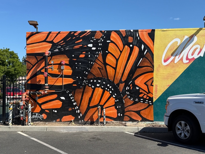 mural in Manteca by artist Camer1.