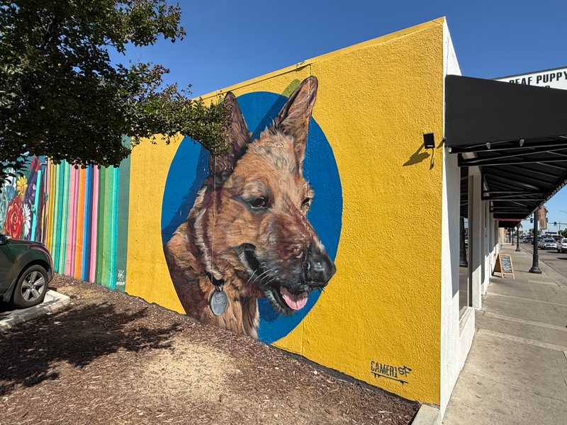mural in Manteca by artist Camer1.