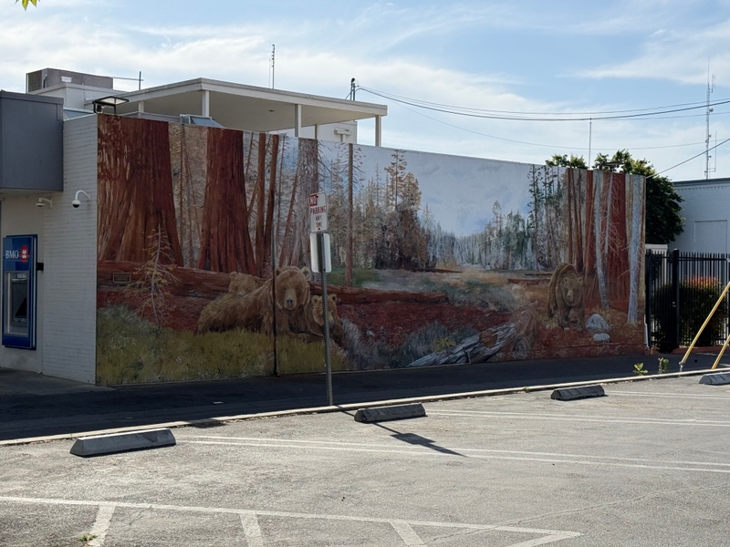 mural in Tulare by artist unknown.