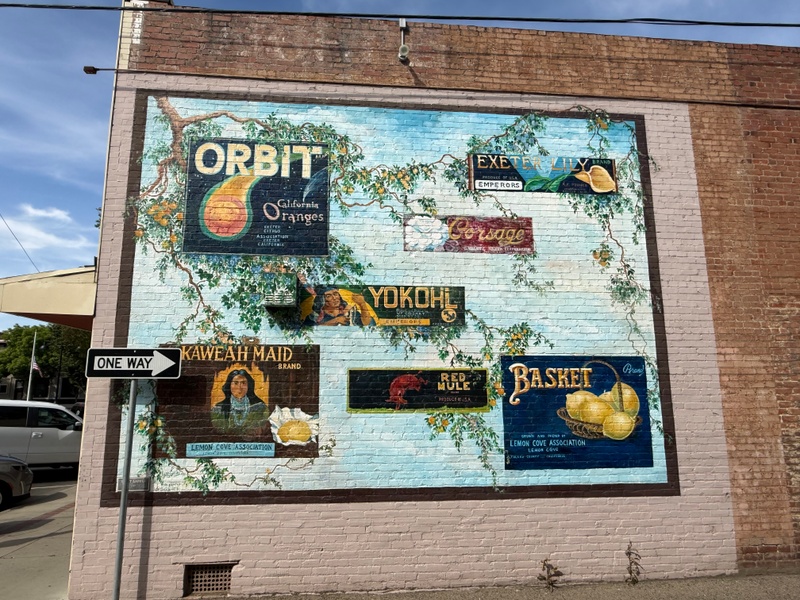 mural in Exeter by artist unknown.