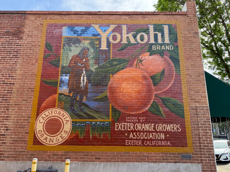 mural in Exeter by artist unknown.