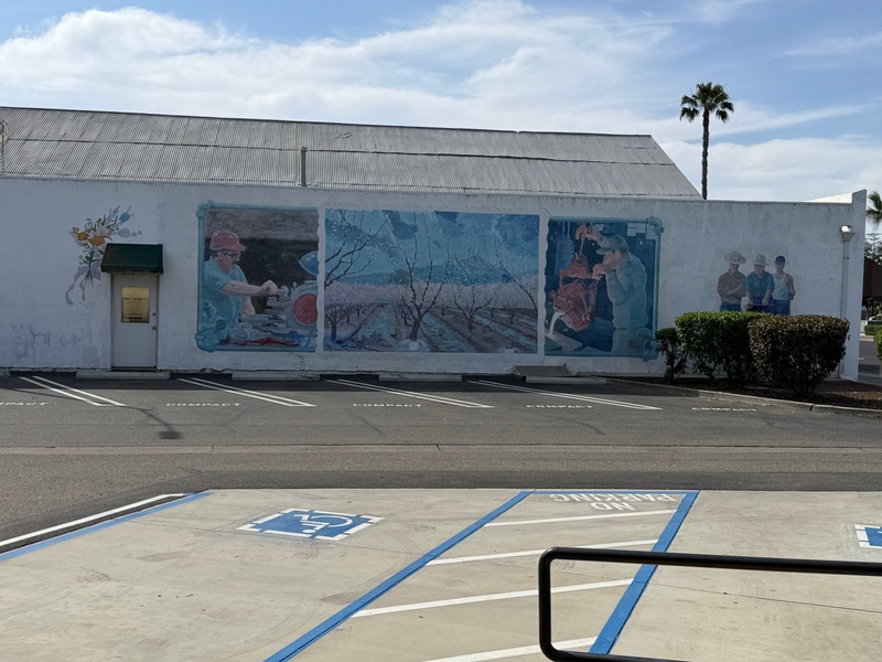 mural in Exeter by artist unknown.