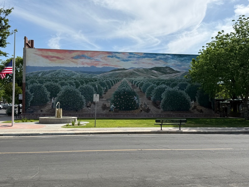 mural in Exeter by artist unknown.