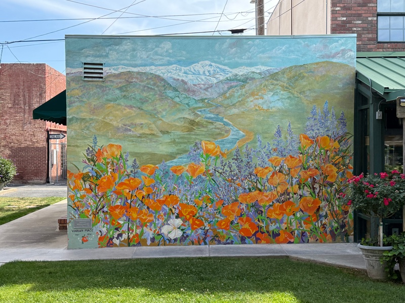 mural in Exeter by artist unknown.