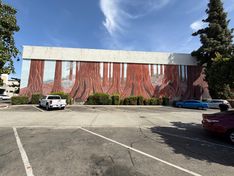 mural in Visalia by artist unknown.