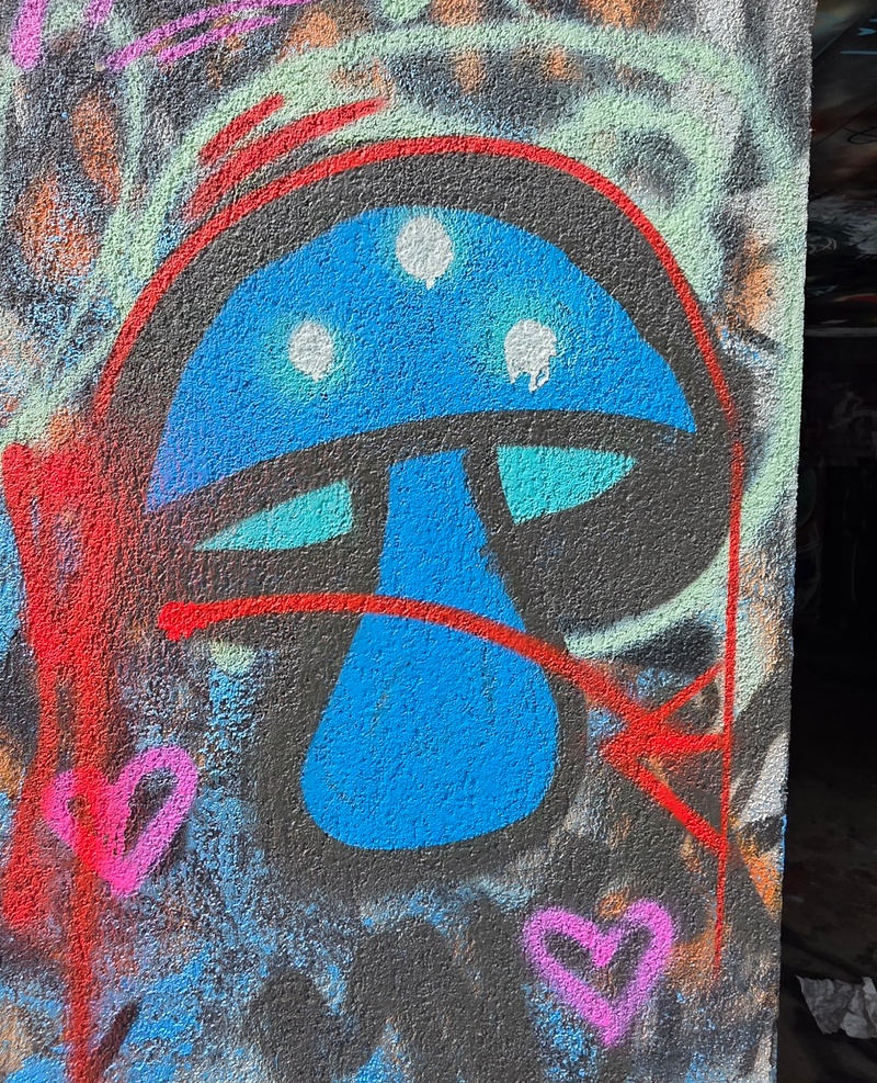 mural in Toronto by artist unknown.