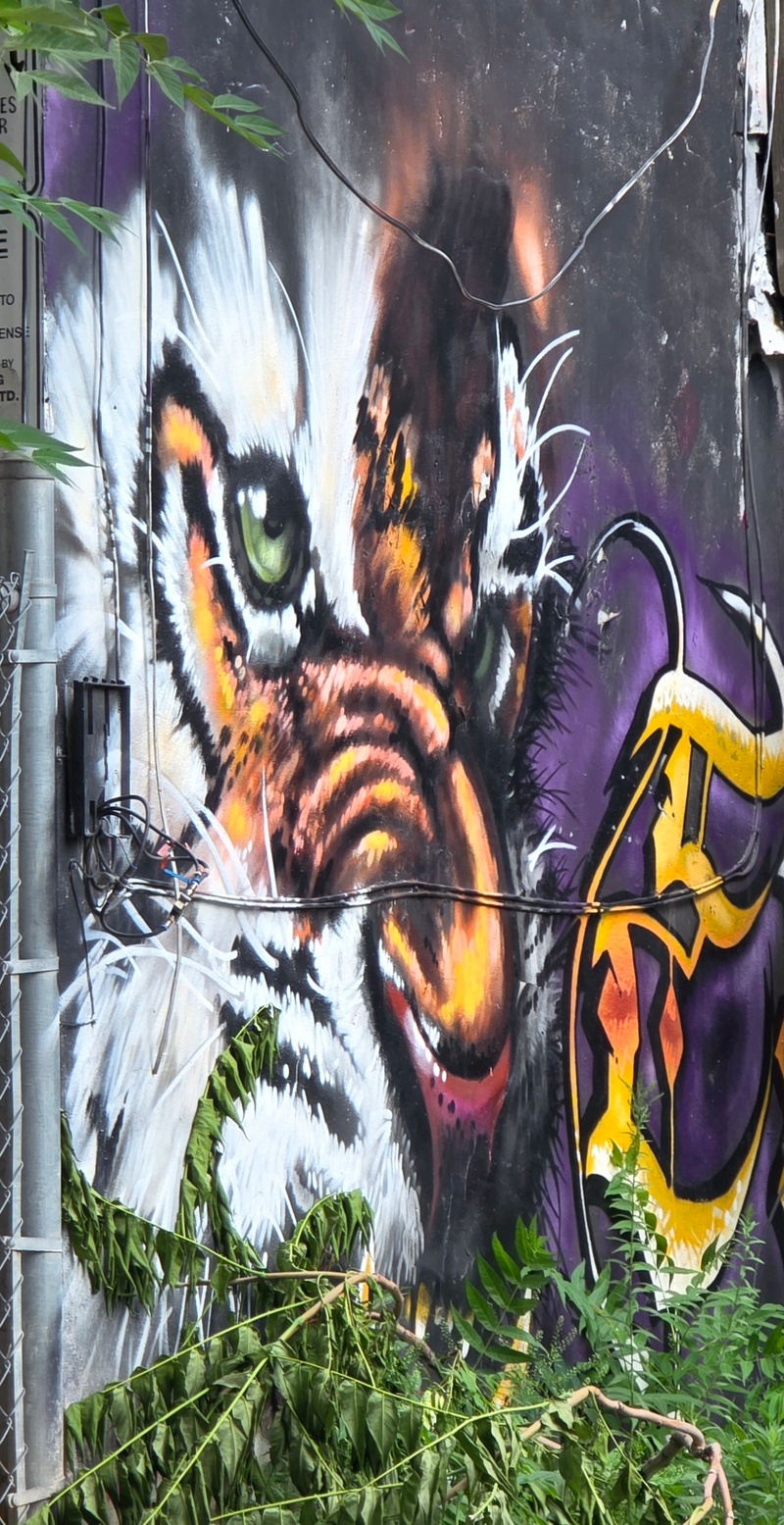 mural in Toronto by artist unknown.