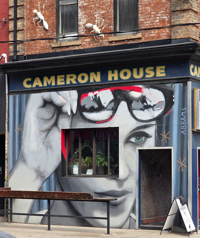 mural in Toronto by artist unknown.