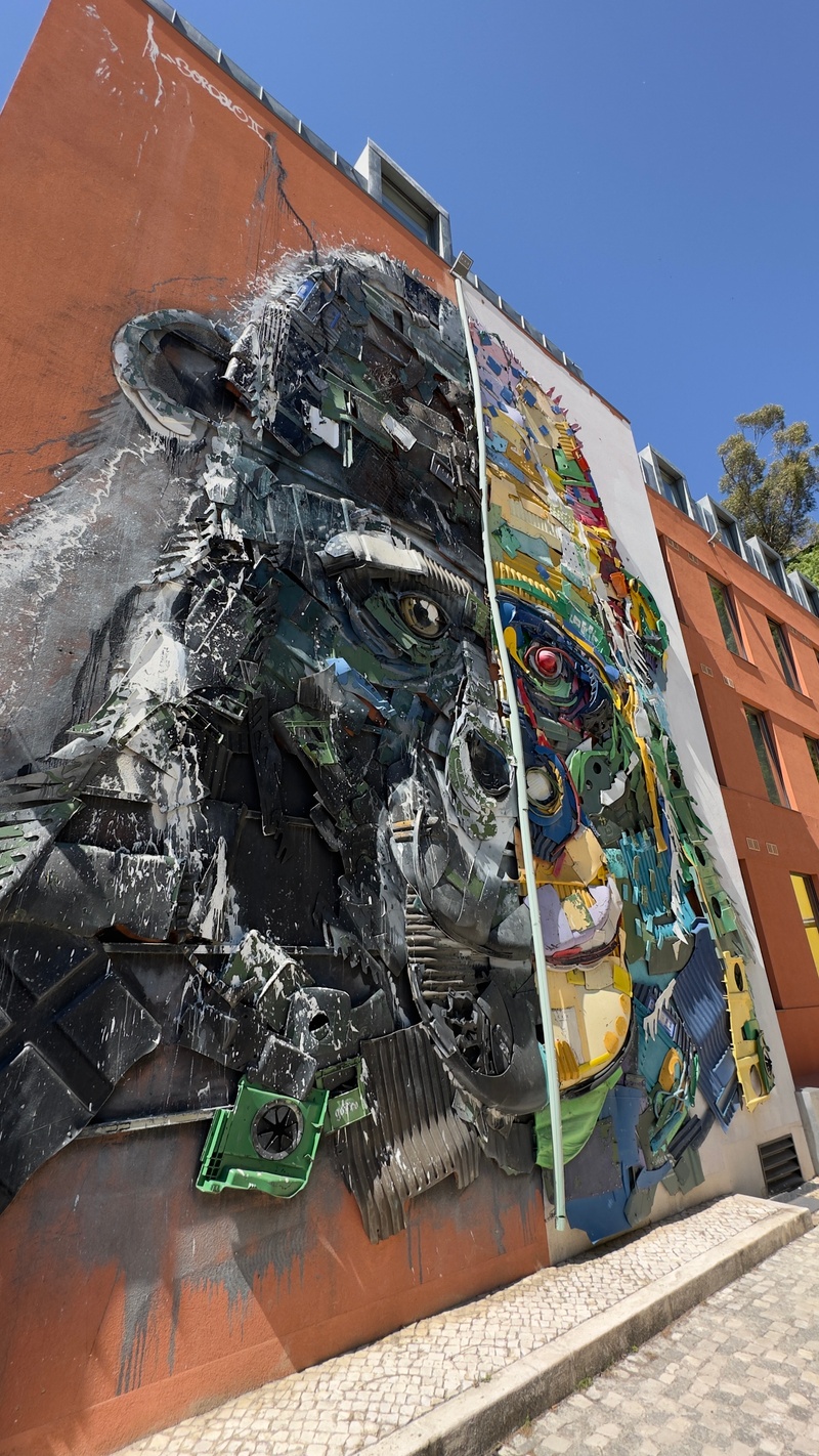 mural in Coimbra by artist Bordalo II.