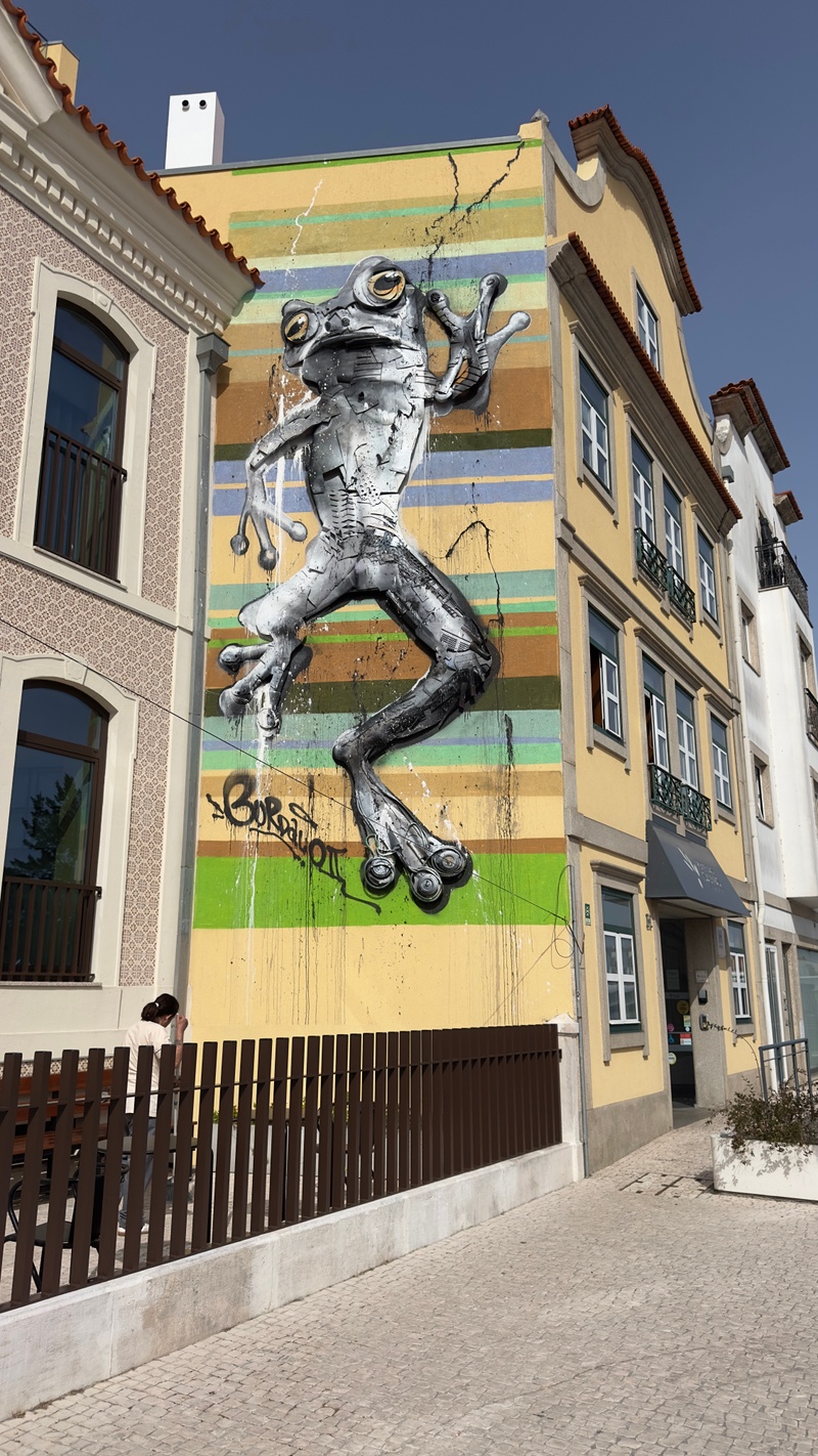 mural in Aveiro by artist Bordalo II.