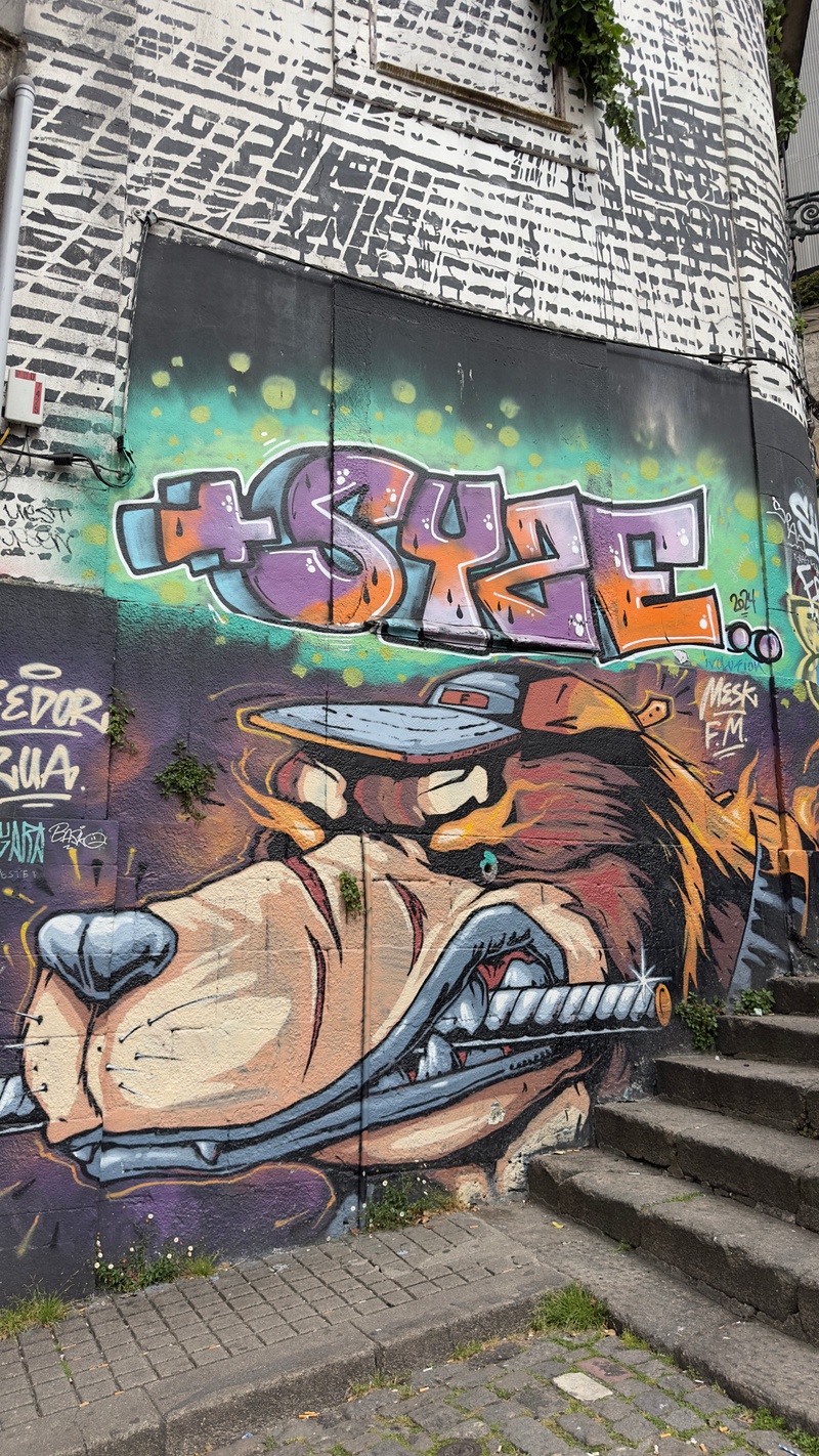 mural in Porto by artist unknown.