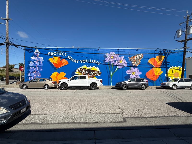 mural in San Carlos by artist unknown.