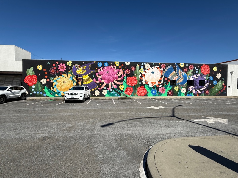 mural in Redwood City by artist unknown.