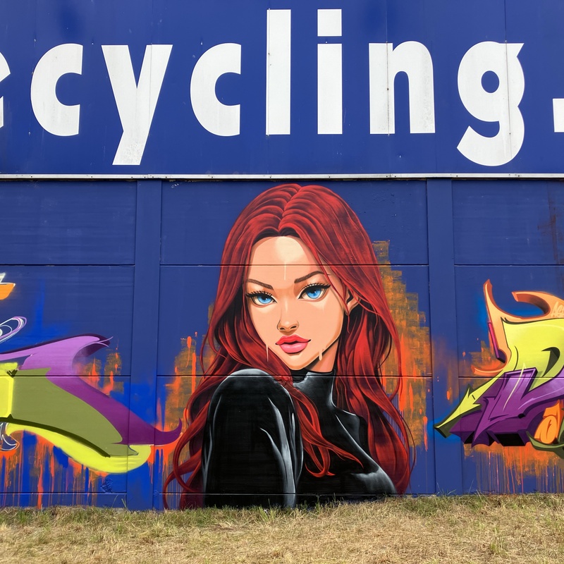 mural in Konstanz by artist unknown.