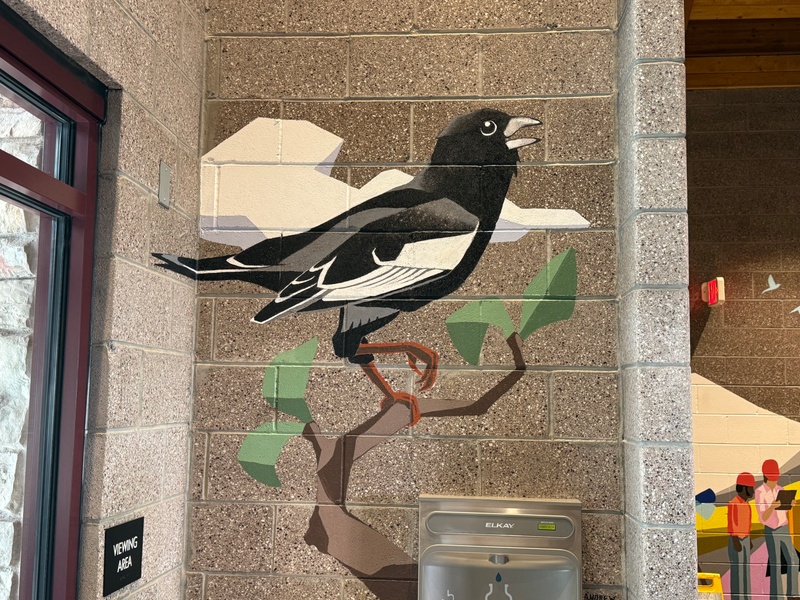 mural in Frisco by artist unknown.
