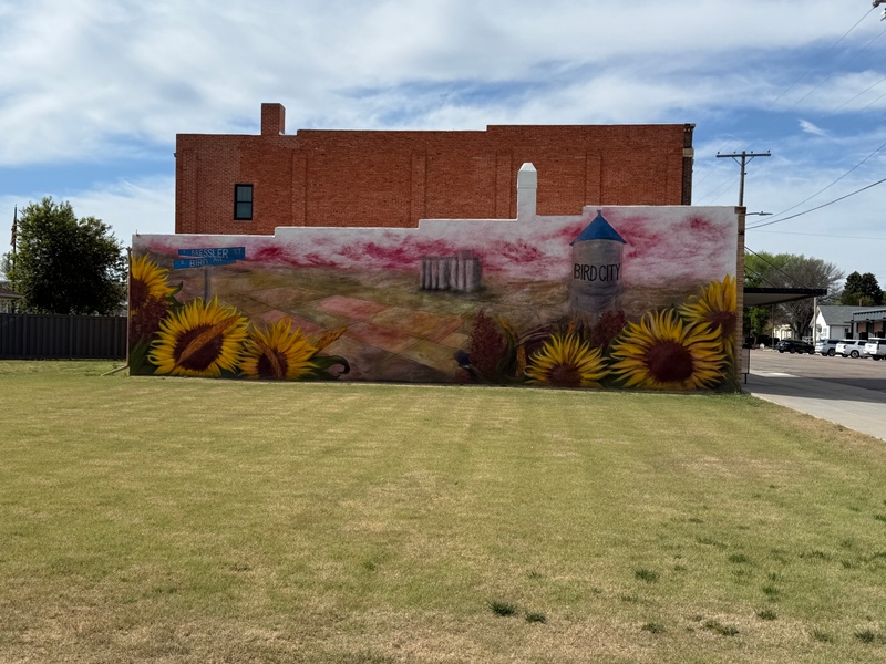 mural in Bird City by artist unknown.