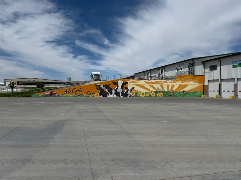 mural in Rexford by artist unknown.