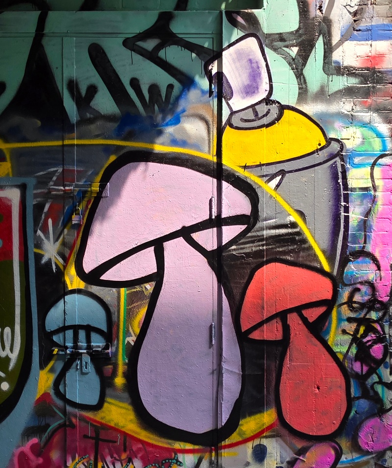 mural in Toronto by artist unknown.