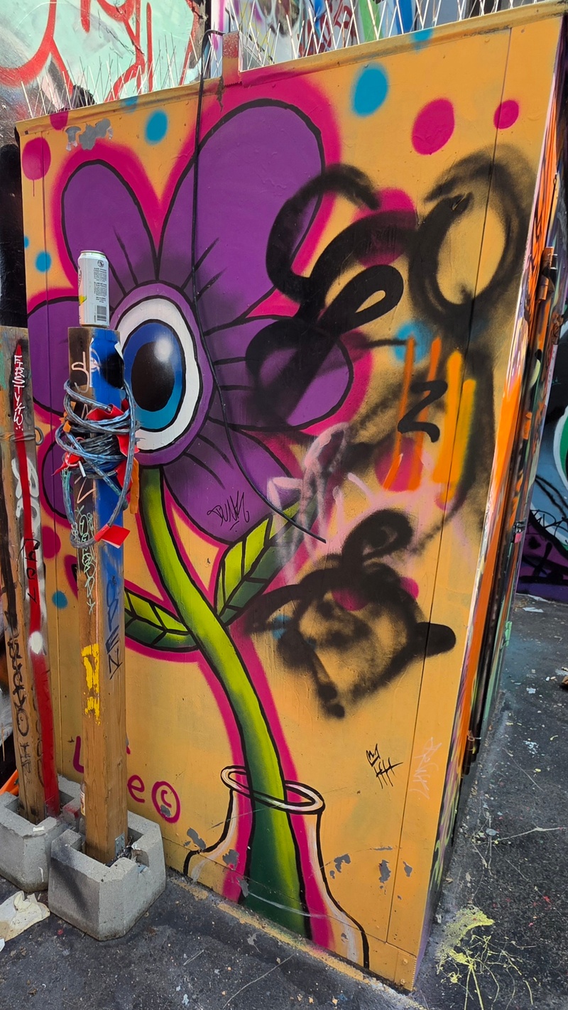 mural in Toronto by artist unknown.