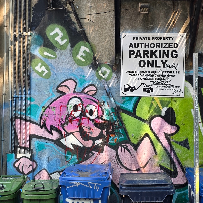 mural in Toronto by artist unknown.