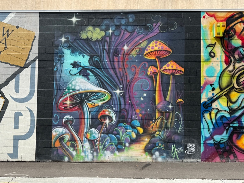 mural in Junction City by artist unknown.