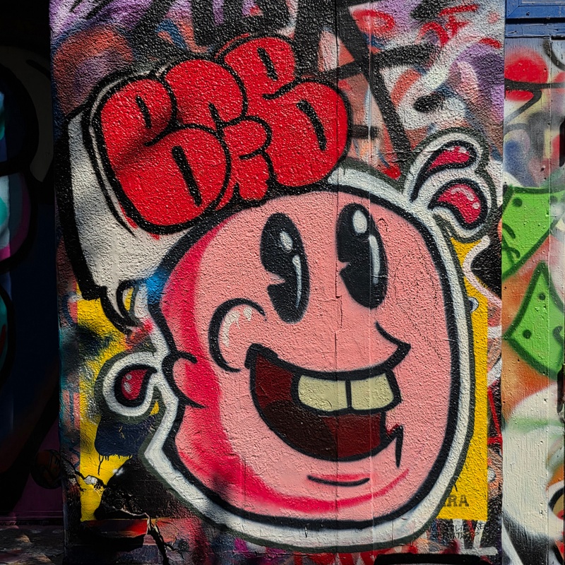 mural in Toronto by artist unknown.